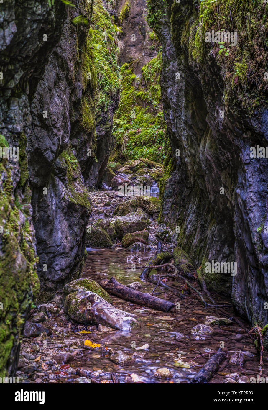L'sighistel Parc Naturel Apuseni de gorge en Roumanie Banque D'Images