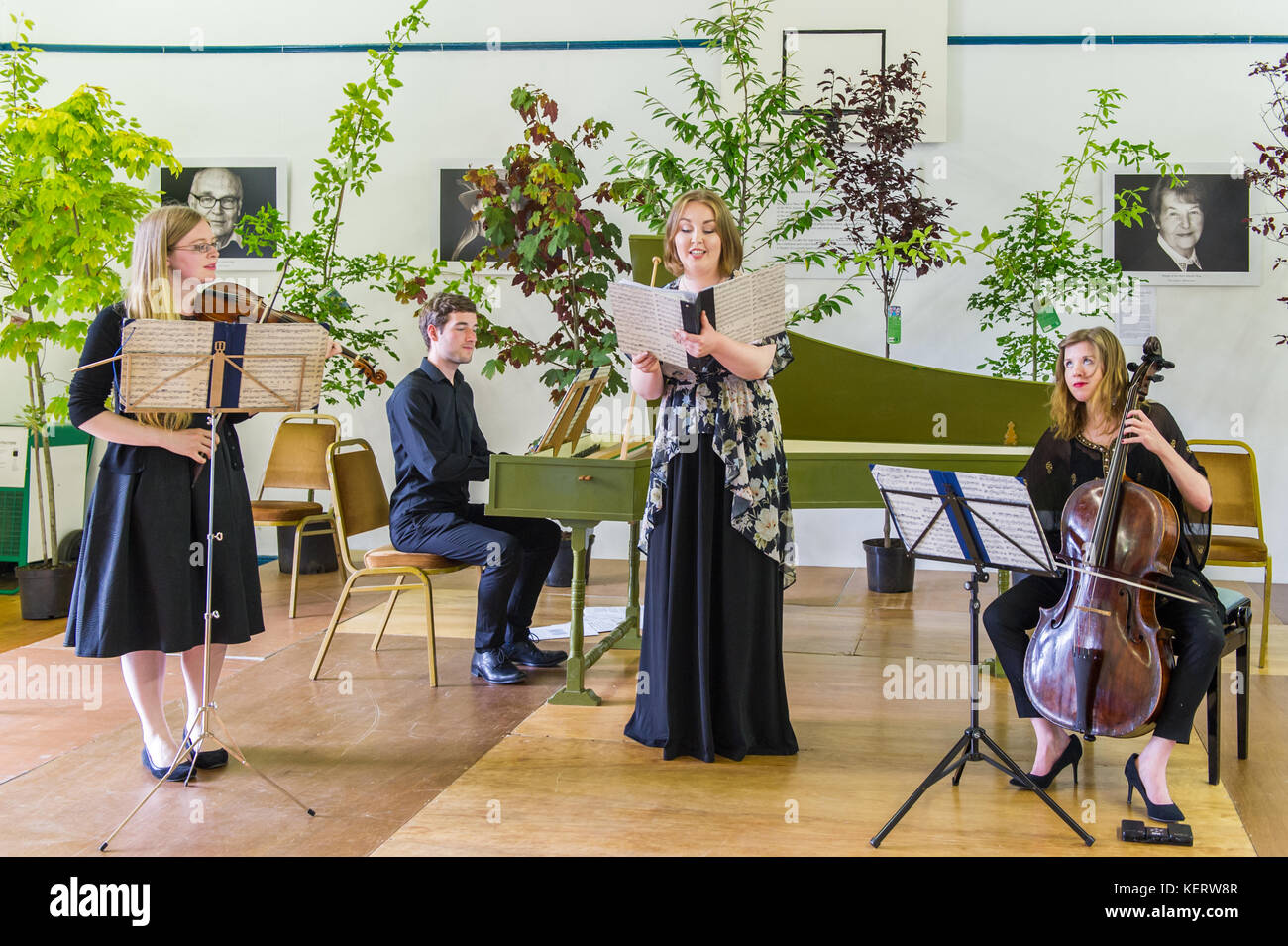 L'ensemble Dagda Quatuor à jouer un concert dans le cadre de la 2017 West Cork Chamber Music Festival, Bantry, West Cork, Irlande. Banque D'Images