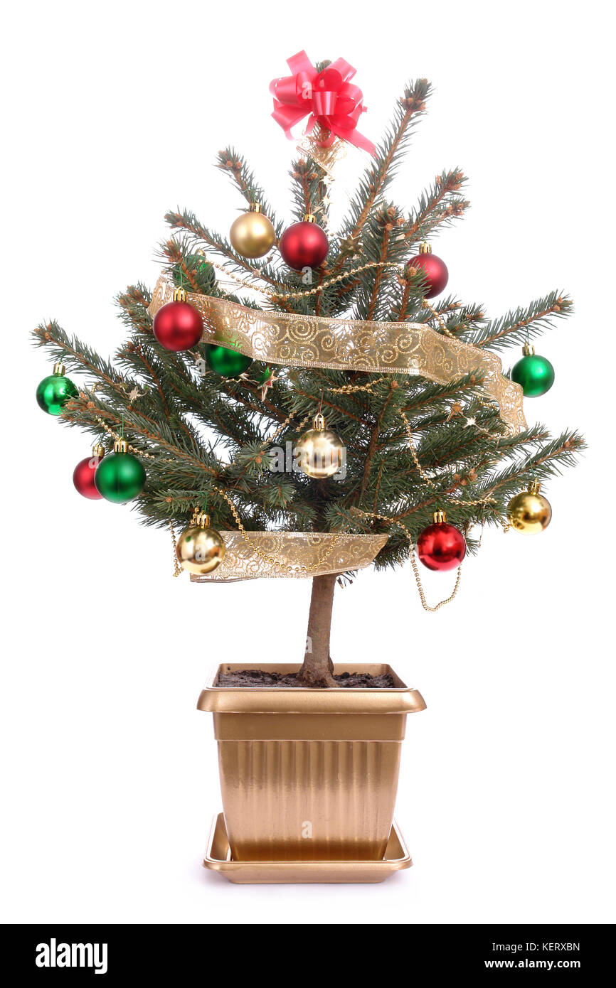 Petit arbre de Noël avec des décorations dans le pot d'or sur fond blanc Banque D'Images