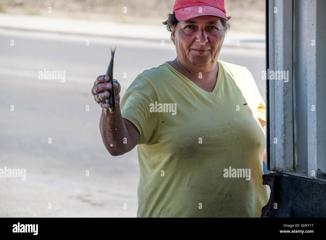 Une vendeuse de poisson travaillant sur le côté d'un Route très fréquentée sur Rhodes Grèce contient un petit poisson elle est sur le point de prendre de la taille Banque D'Images