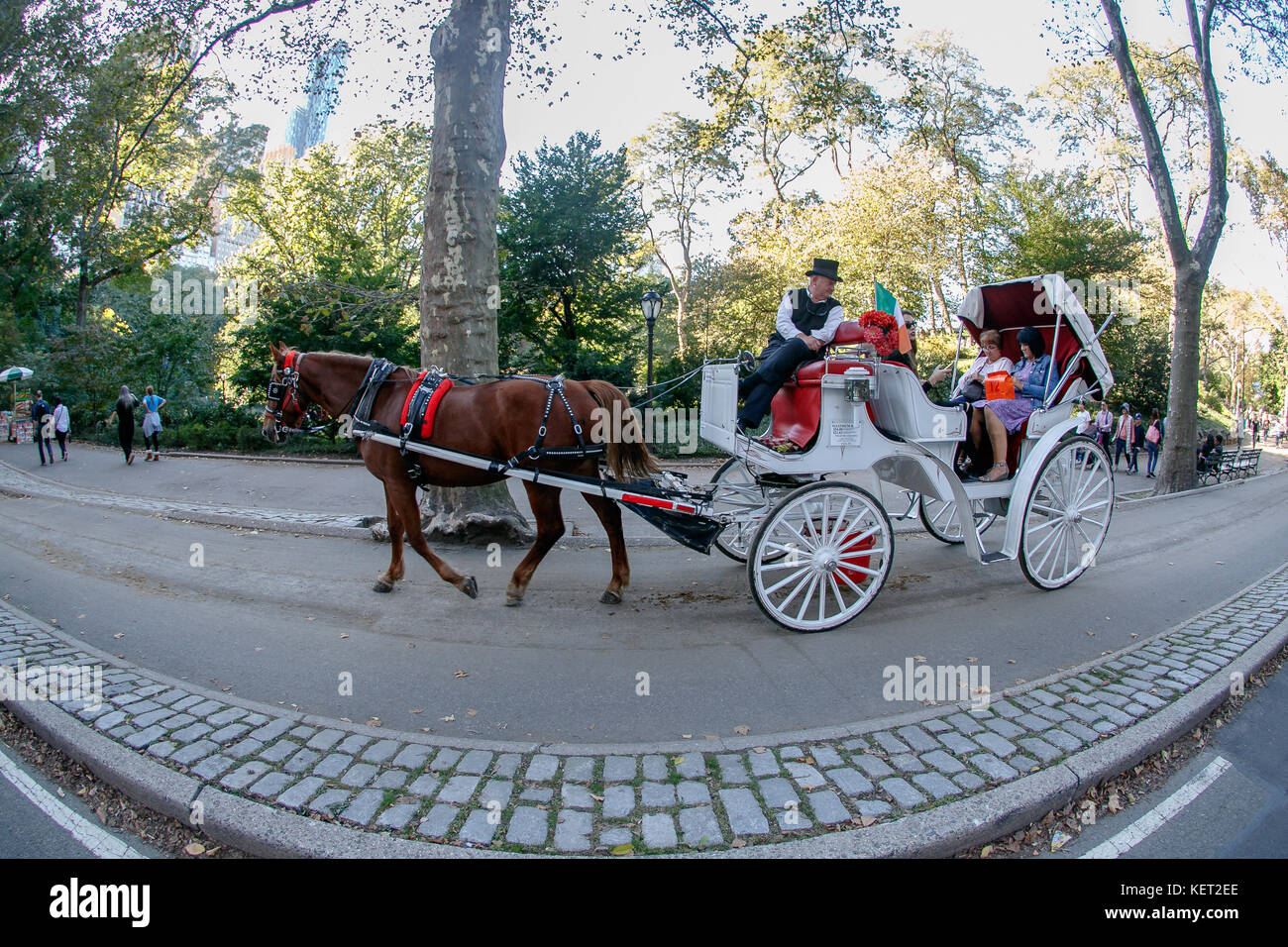Les touristes en calèche dans la ville de New York's Central Park. Banque D'Images