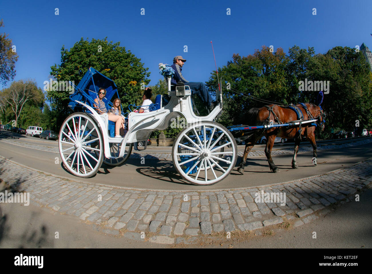 Les touristes en calèche dans la ville de New York's Central Park. Banque D'Images