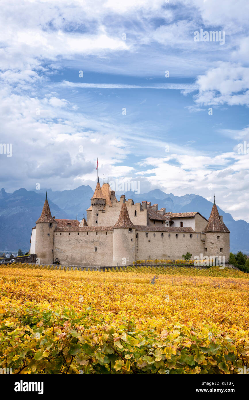 Aigle château entouré de vignes, Aigle, Vaud, Suisse Banque D'Images