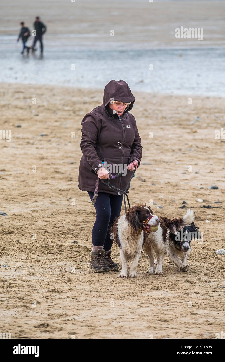 Chien marchant - une femme marchant ses deux chiens sur Fistral Beach Newquay. Banque D'Images