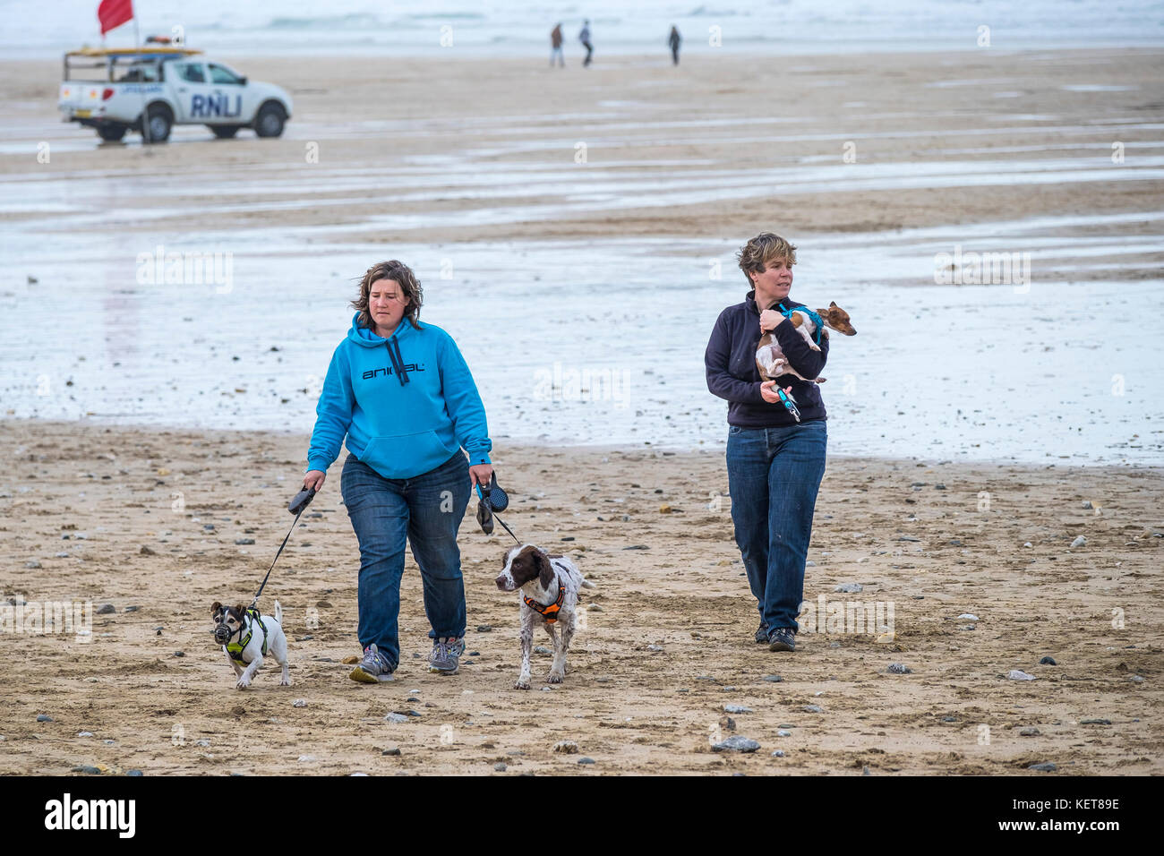 Marche de chien - deux femmes marchant leurs petits chiens sur Fistral Beach Newquay. Banque D'Images