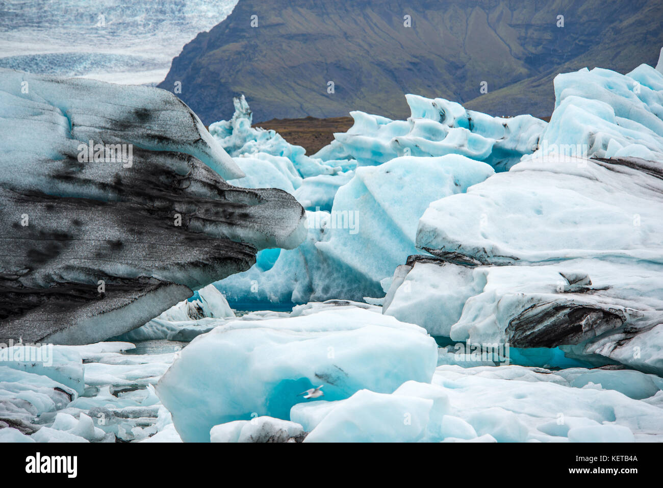 Lagune glaciaire du Jökulsárlón en Islande Banque D'Images