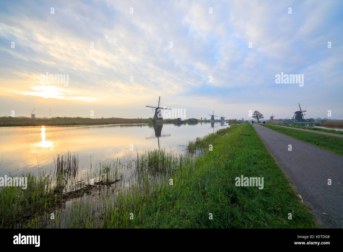 L'aube sur les moulins à vent reflète dans le canal entouré de vertes prairies kinderlijk molenwaard l'Europe Pays-Bas Hollande du Sud Banque D'Images