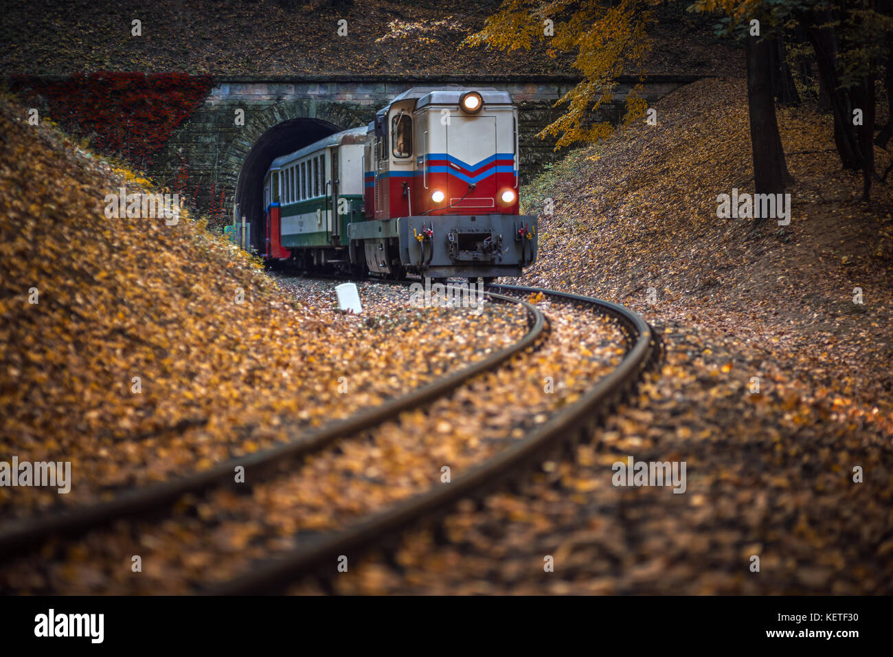 Budapest, Hongrie - Magnifique forêt d'automne avec feuillage et vieux train coloré sortant du tunnel dans les bois hongrois Banque D'Images