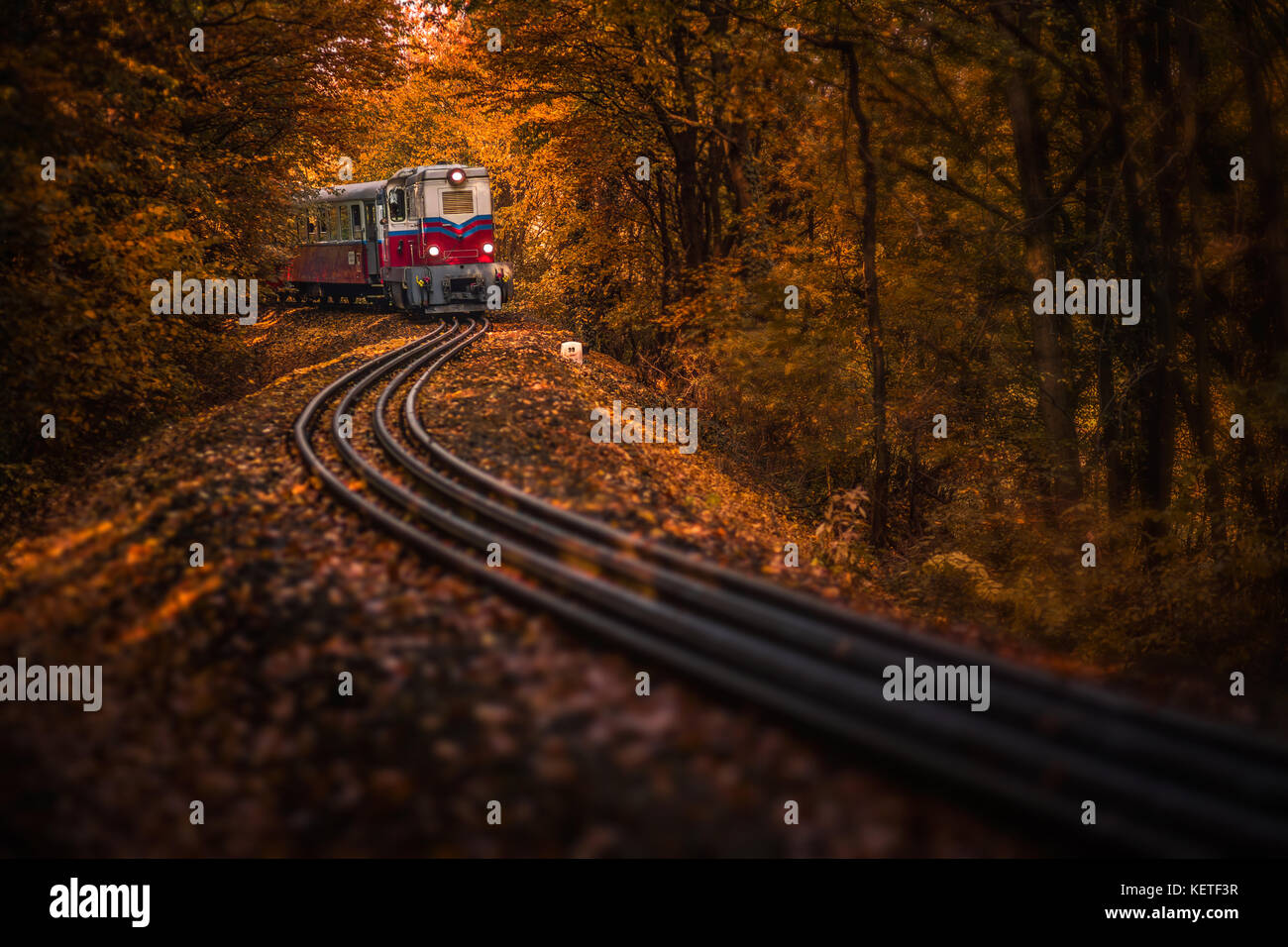 Budapest, Hongrie - Magnifique forêt d'automne avec feuillage et vieux train coloré sur la piste dans les bois hongrois Banque D'Images