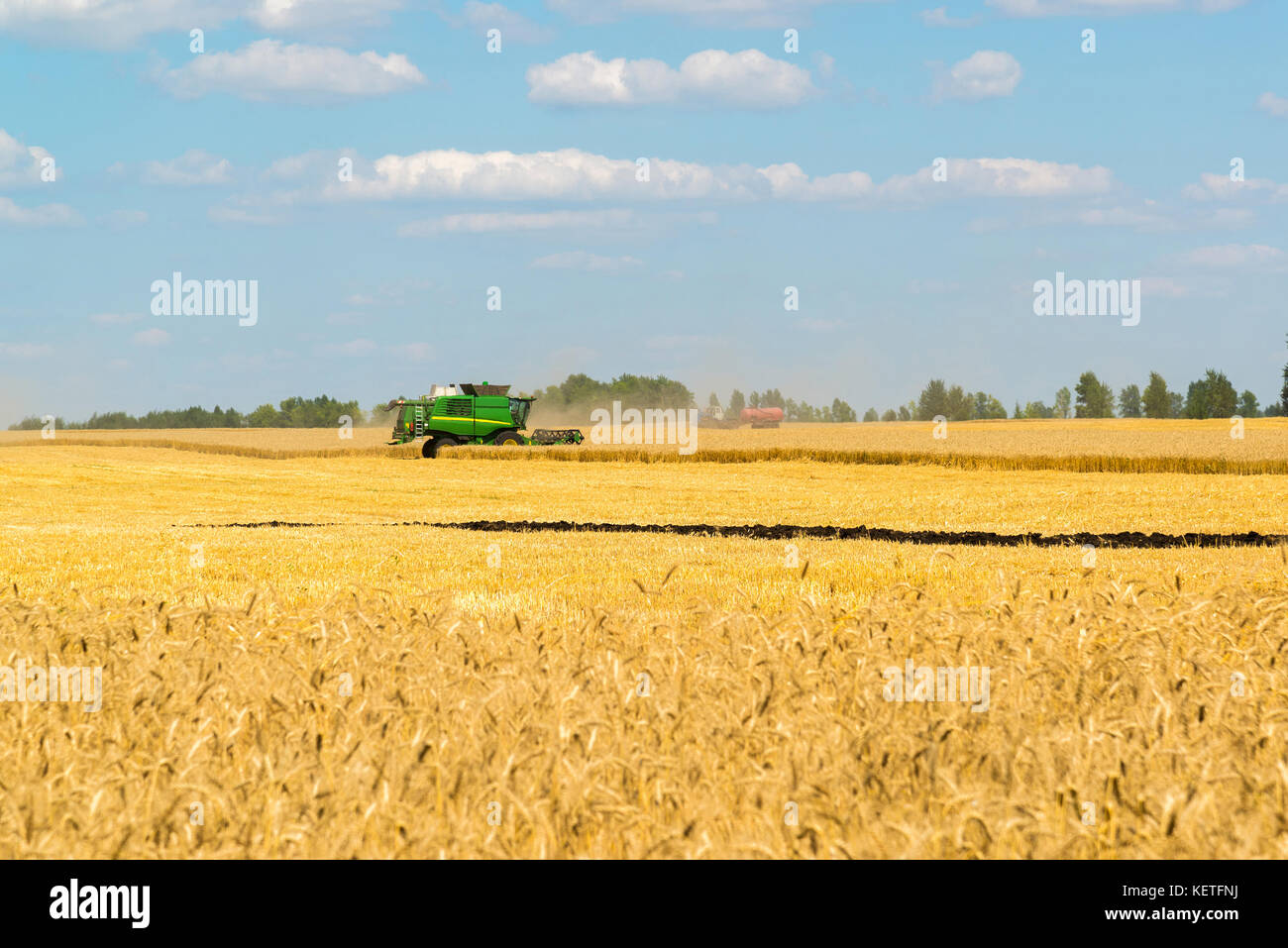 La récolte de céréales de machines agricoles supprime sur champ. La Russie Banque D'Images