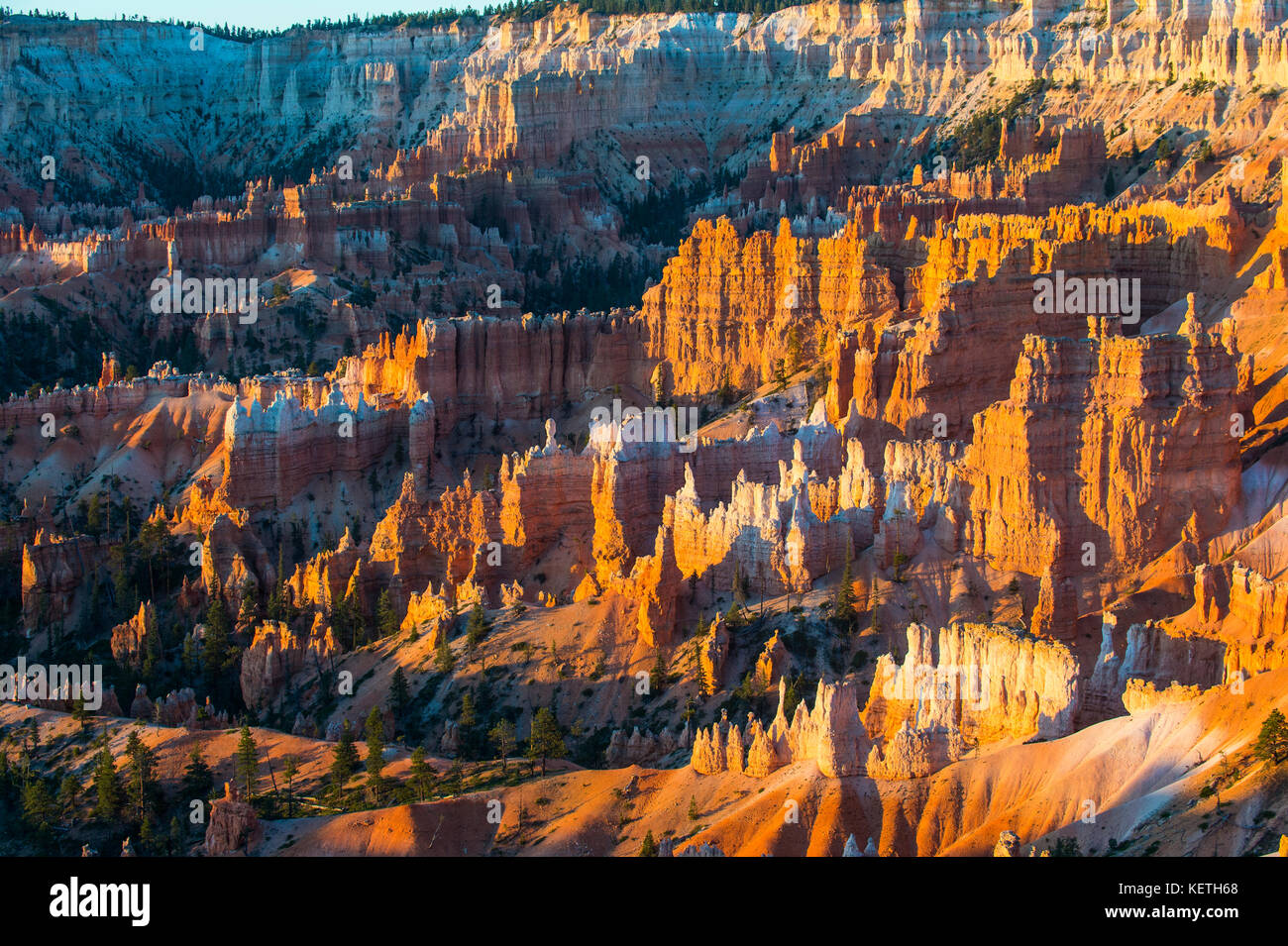 Les formations de grès colorés de la parc national de Bryce Canyon en fin d'après-midi, Utah, USA Banque D'Images