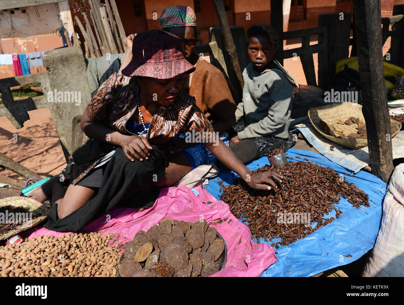 Criquets frits vendus dans un marché dans le centre de Madagascar. Banque D'Images