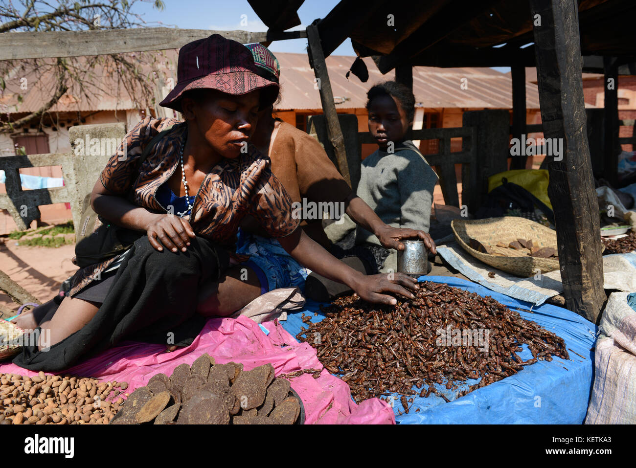 Criquets frits vendus dans un marché dans le centre de Madagascar. Banque D'Images