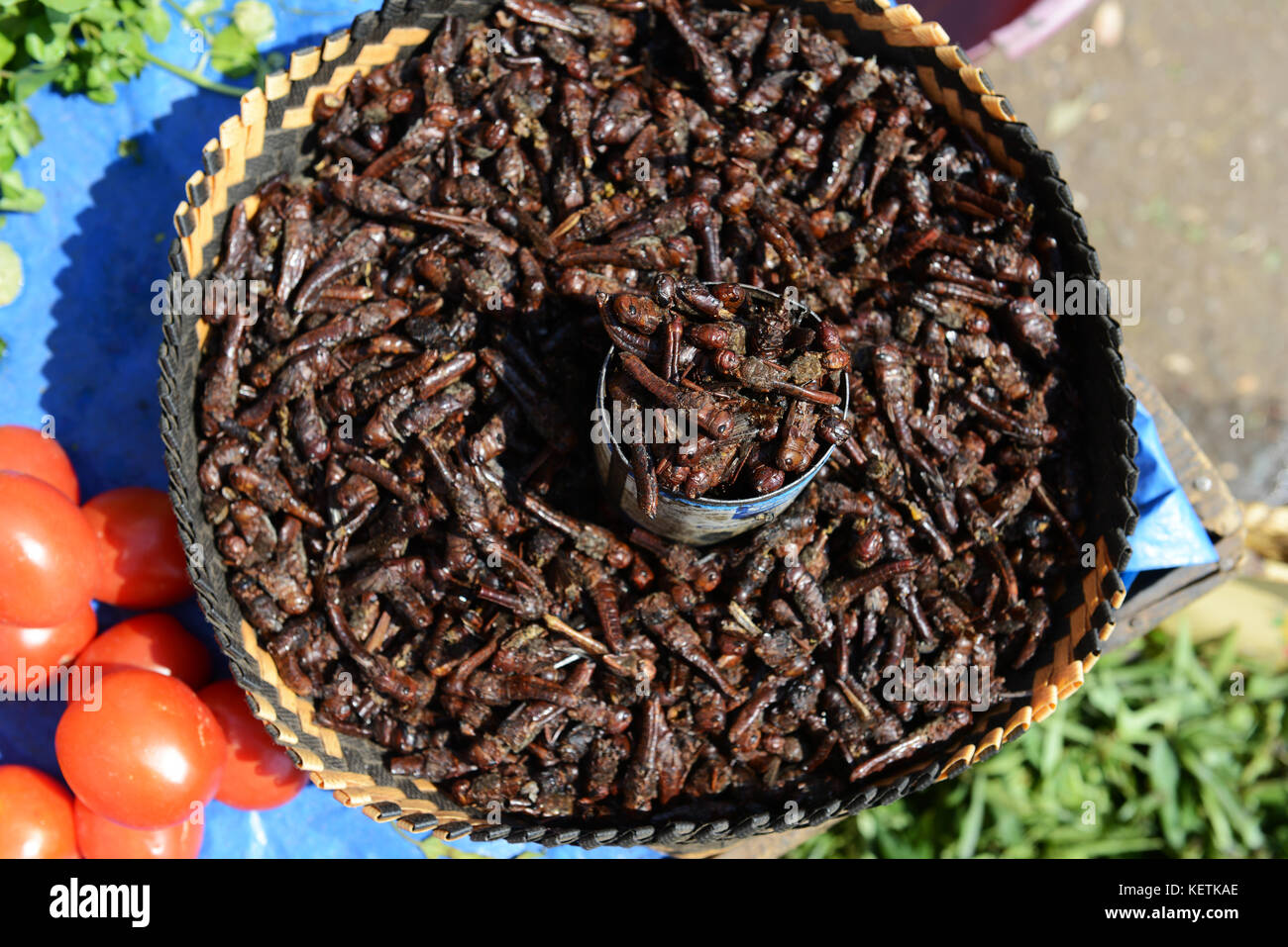 Criquets frits vendus dans un marché dans le centre de Madagascar. Banque D'Images