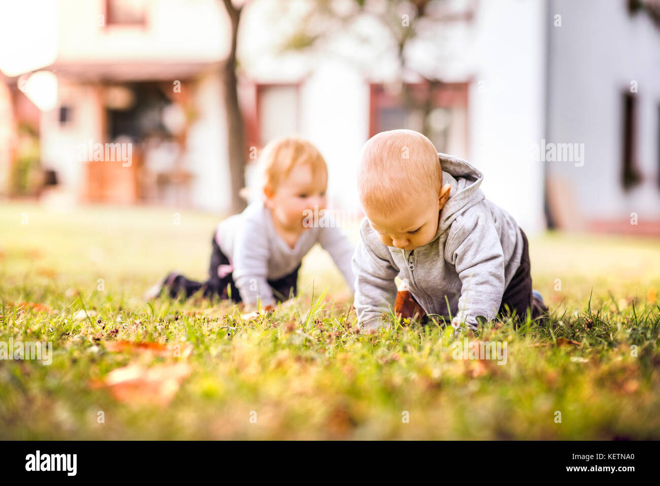 Deux bébés sur l'herbe dans le jardin. Banque D'Images