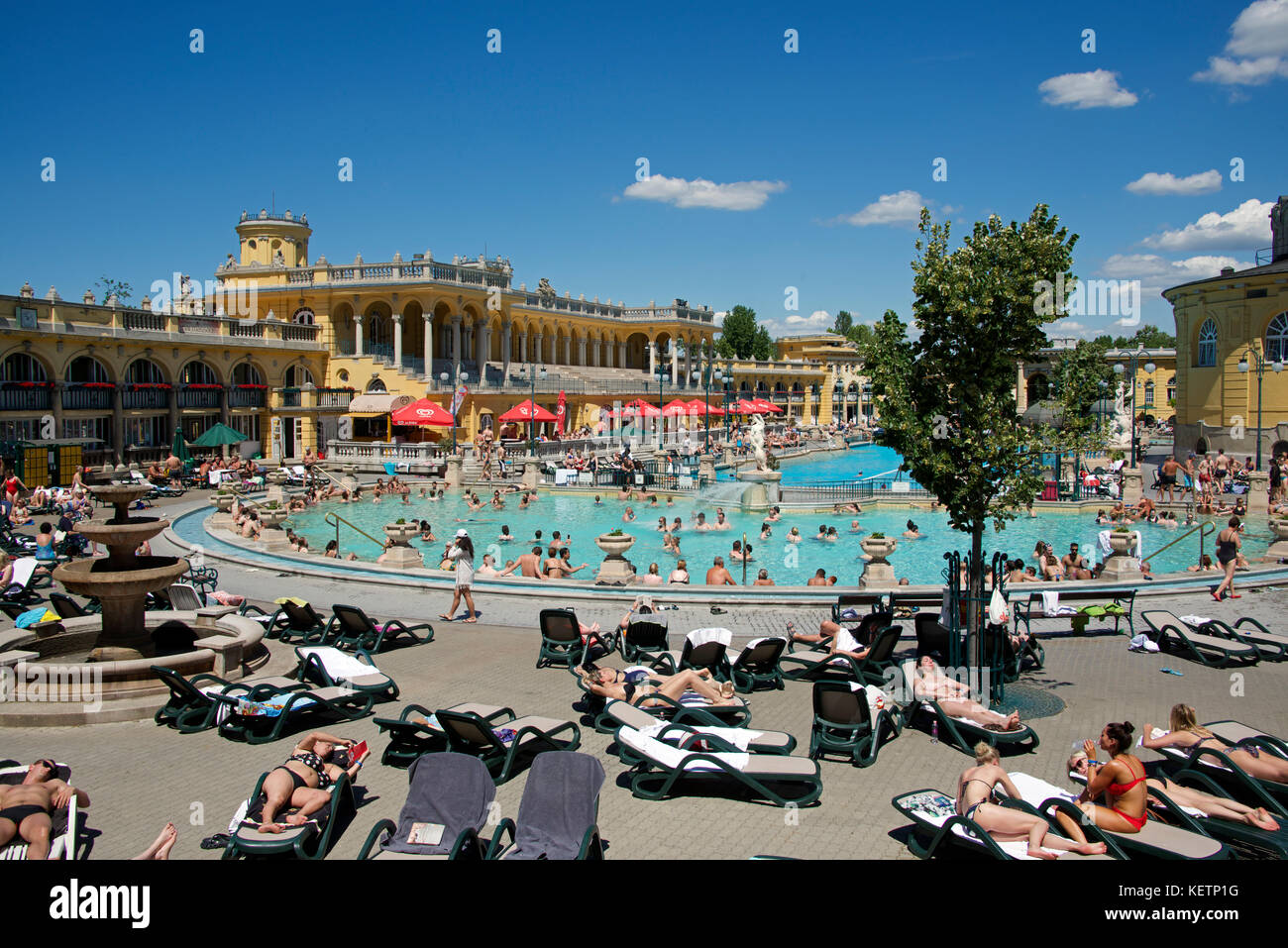 Les bains thermaux Széchenyi Budapest Hongrie Banque D'Images