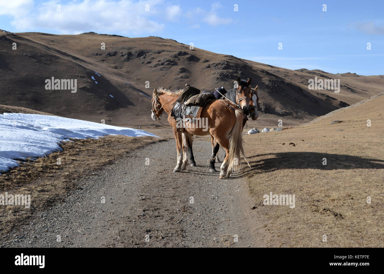 photos-prises-lors-d-un-3-journ-e-quitation-trek-au-kirghizistan-au
