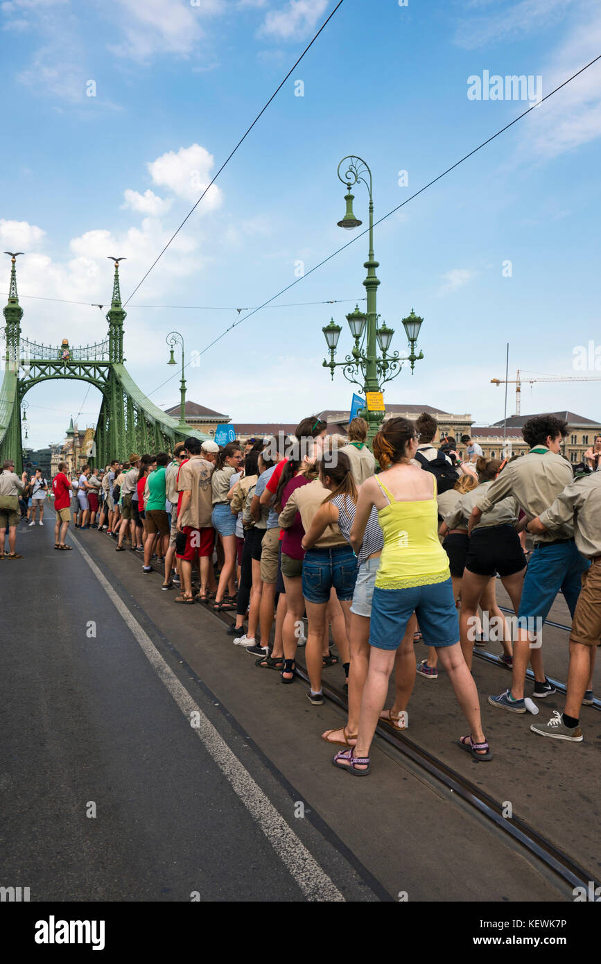 Vue verticale de Szabadság híd ou pont de la liberté, à Budapest. Banque D'Images