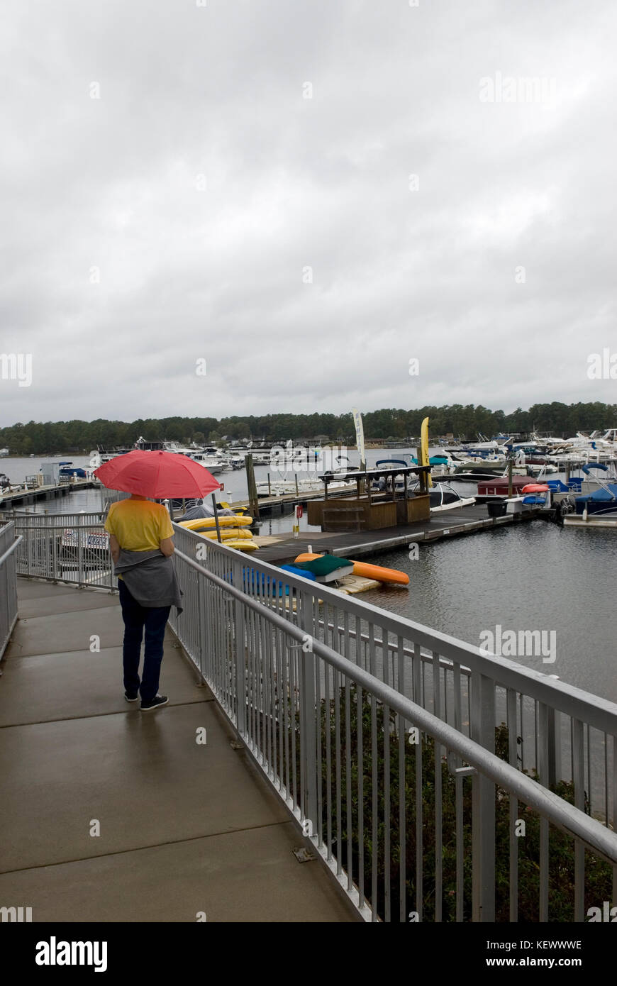 Lake Murray Boat Club and Marina, Irmo, Caroline du Sud, États-Unis. Banque D'Images