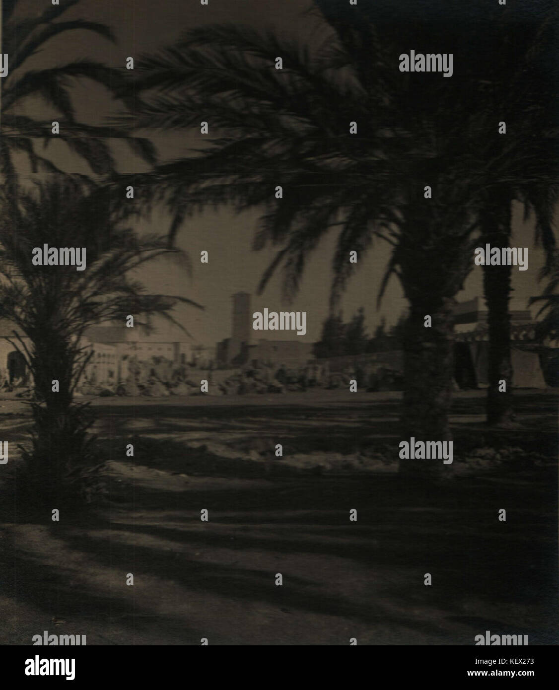 3K 7 35029 Touggourt, Algérie Banque D'Images