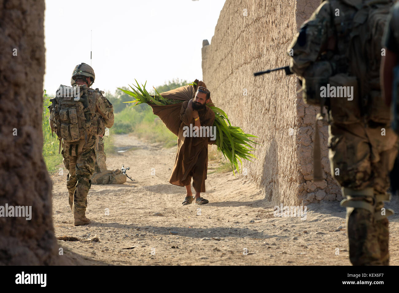 Un homme porte un paquet de feuilles sur son dos cours des soldats britanniques dans la province de Helmand en Afghanistan Banque D'Images