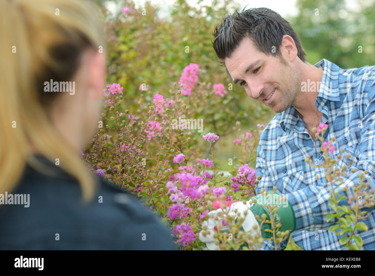 Sur le jardin Banque D'Images