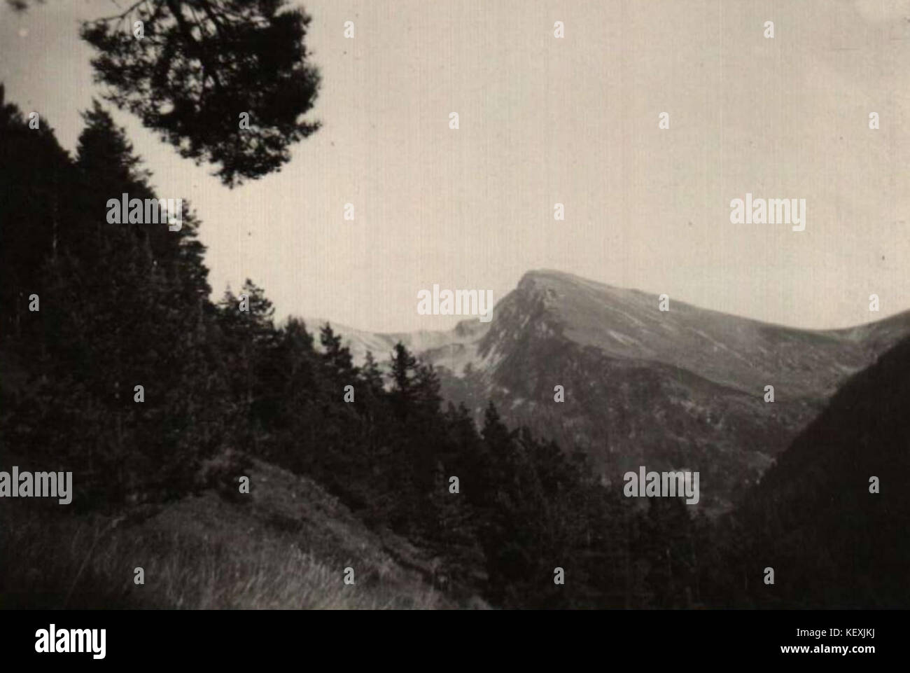 526K 1 1433 60 Rila Banque D'Images