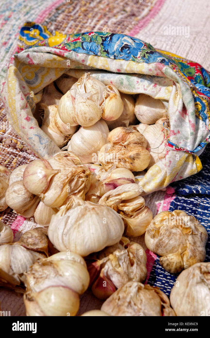 L'ail dans un marché de rue de Lisbonne, Portugal. Banque D'Images