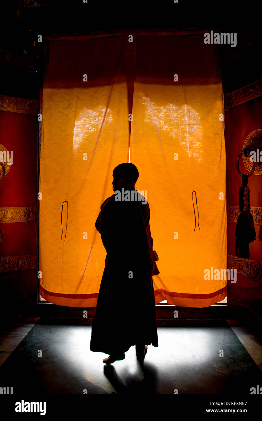 Silhouette de jeune moine monastère laissant à Boudhanath Temple, Katmandou, Népal Banque D'Images