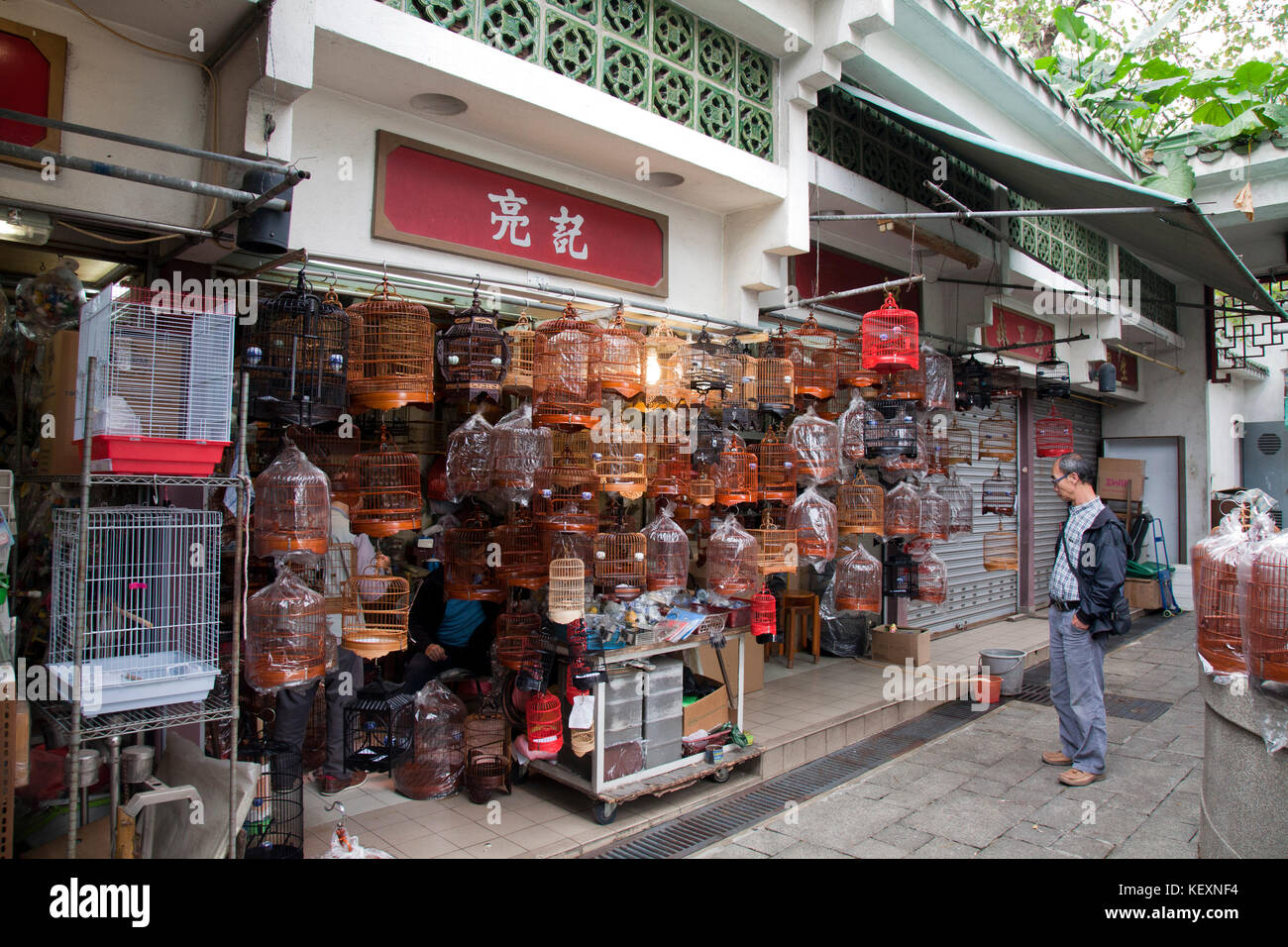 Un homme chinois vérifie les cages à oiseaux disponibles, marché aux oiseaux, Hong Kong, Chine. Banque D'Images