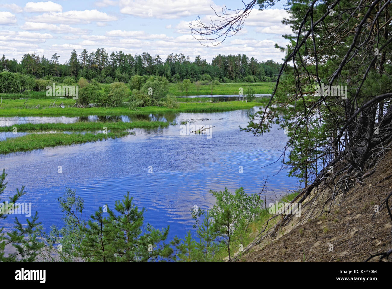 La vallée de la rivière de Sibérie Konda sur une journée ensoleillée Banque D'Images