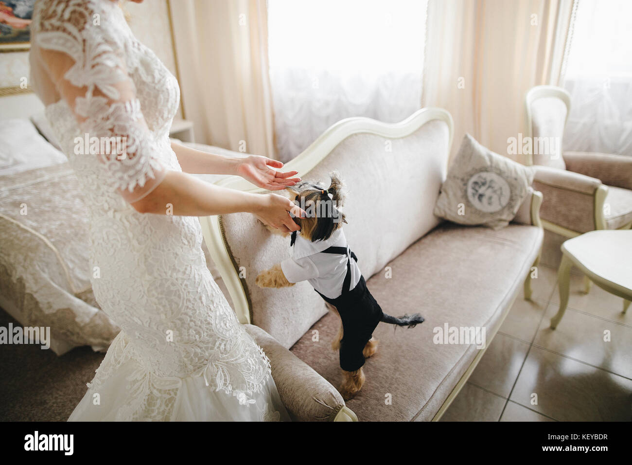 Chien dans le prix de la mariée. mariage de détails. Banque D'Images