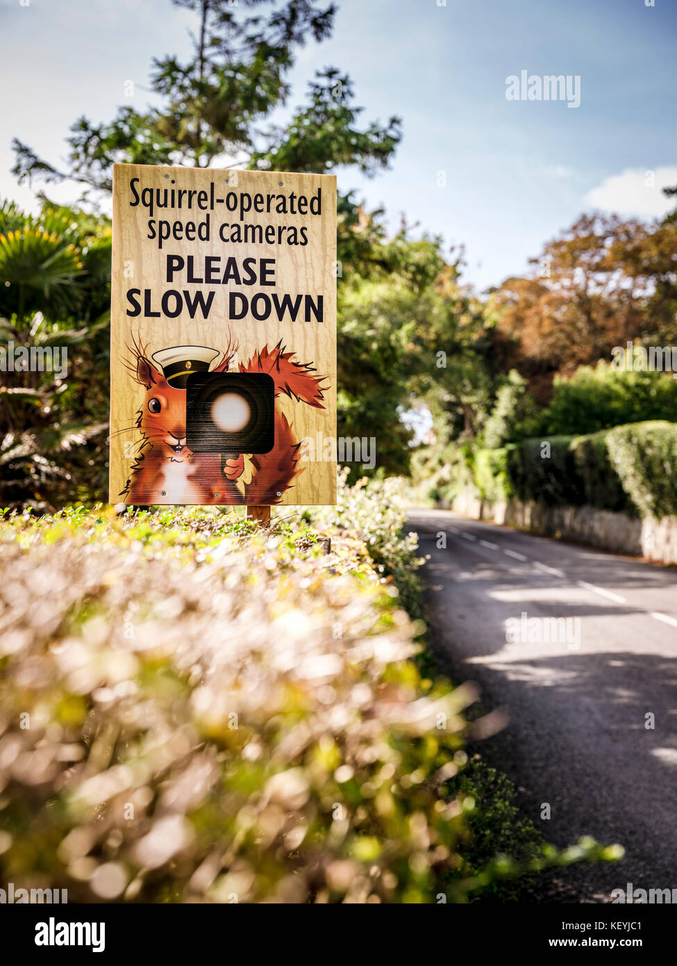 "Squirrel-exploité radars, ralentissez" une drôle de speed camera sign montrant un écureuil roux tenant une caméra vitesse pilotes demandant de ralentir. Banque D'Images