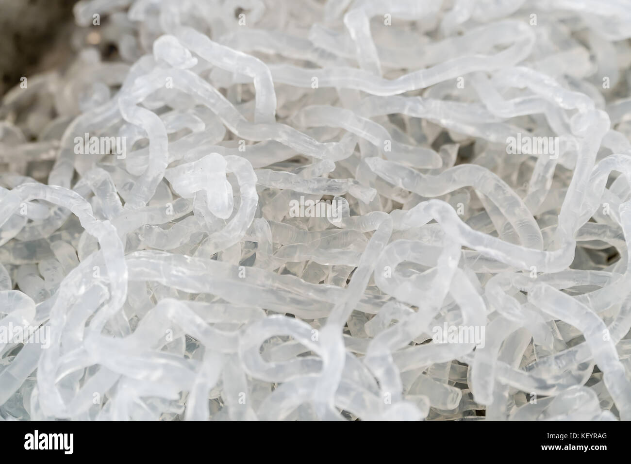 Nouilles de Kelp transparentes (alginate de sodium). Banque D'Images