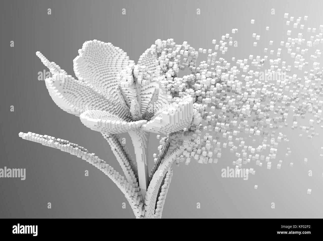 Fleur numérique se désintègre à pixels 3d Banque D'Images