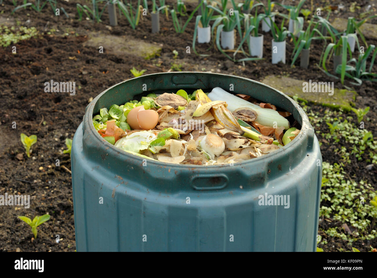 Bac à compost de jardin pour le recyclage des déchets de jardin et de nourriture de cuisine y compris les fruits et les pelures de légumes, sachets de thé et coquilles d'œufs. Banque D'Images