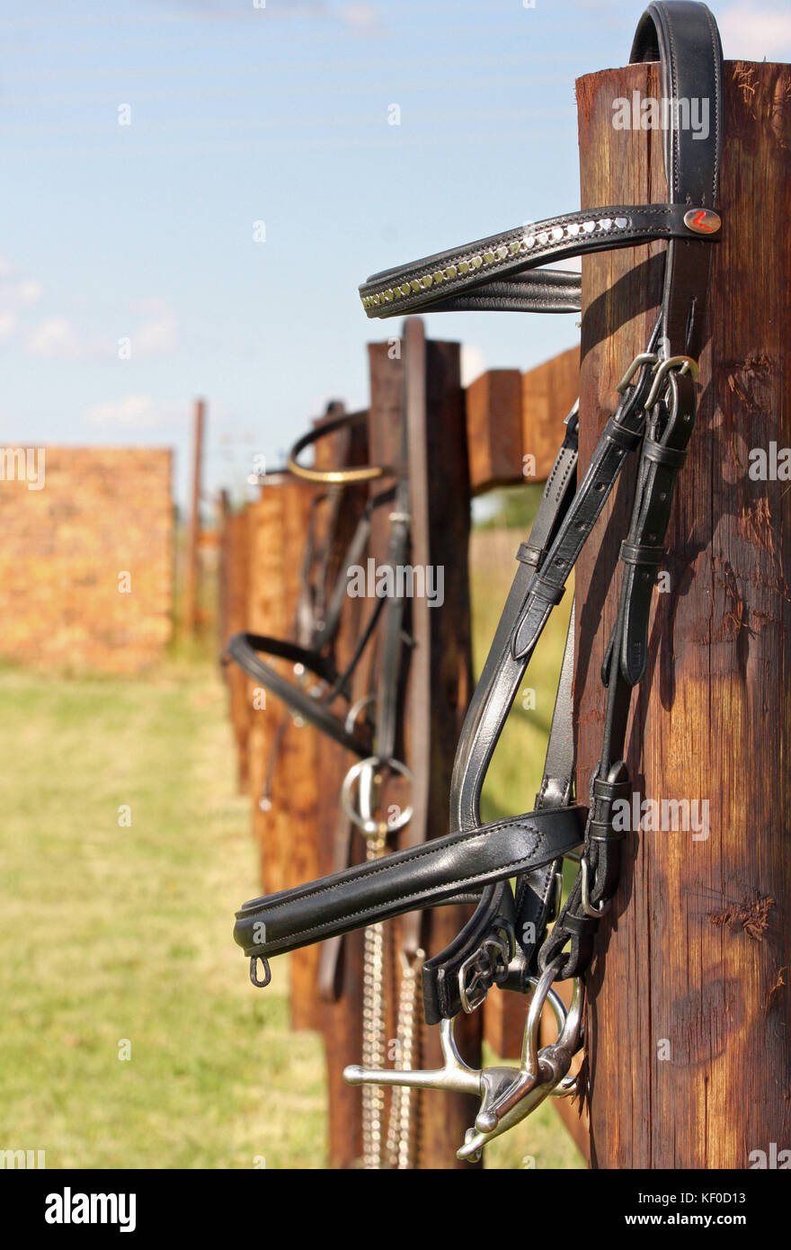 Horse bridle hanging on a fence Banque D'Images