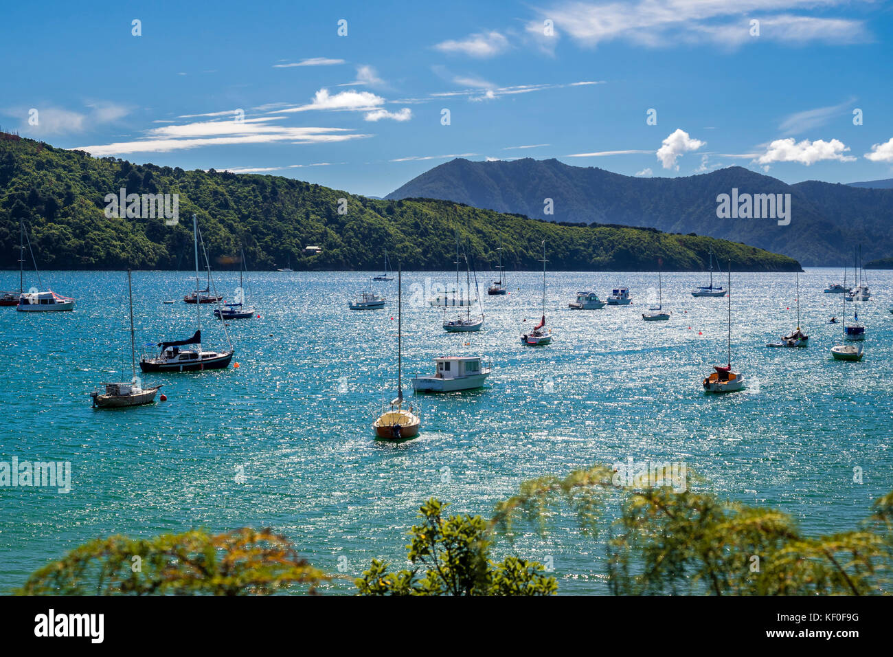 Nouvelle Zélande, île du sud, Picton, waikana bay, voiliers flottant sur l'eau Banque D'Images