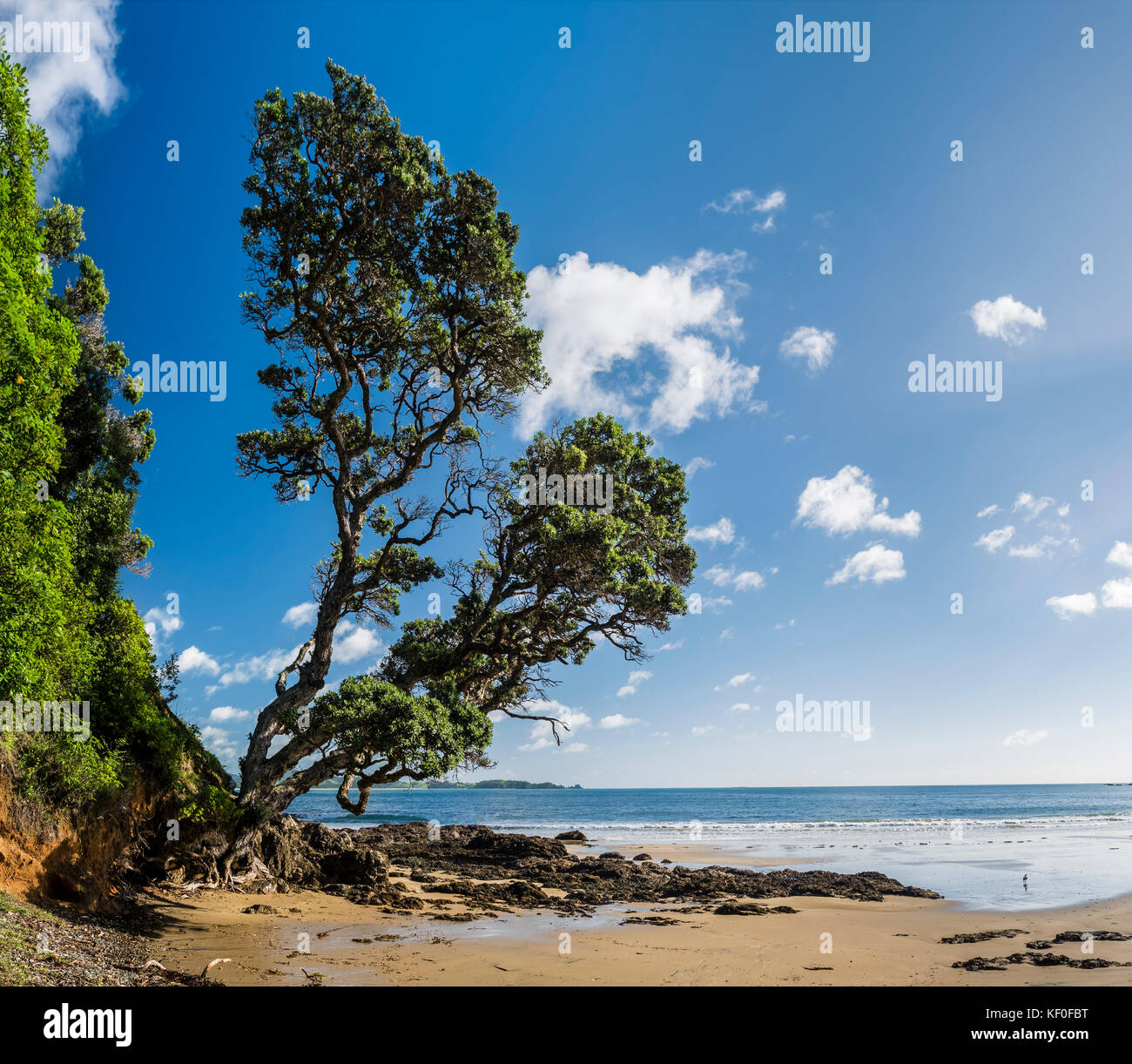 Nouvelle Zélande, île du nord, matapouri bay Banque D'Images