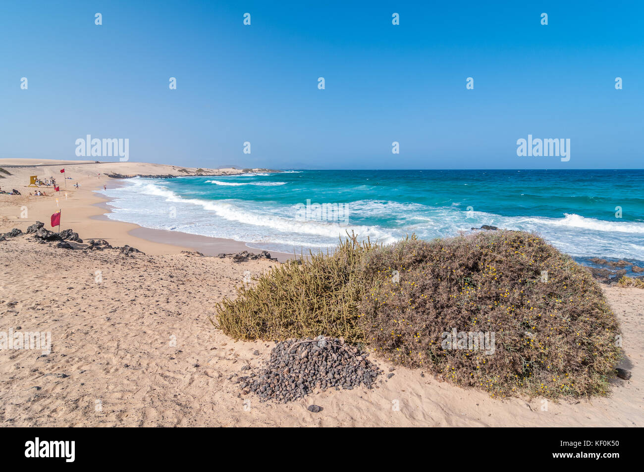 Vue de la plage avec quelques roches, Parque Natural de las Dunas de Corralejo, Fuerteventura, Îles Canaries, Espagne Banque D'Images