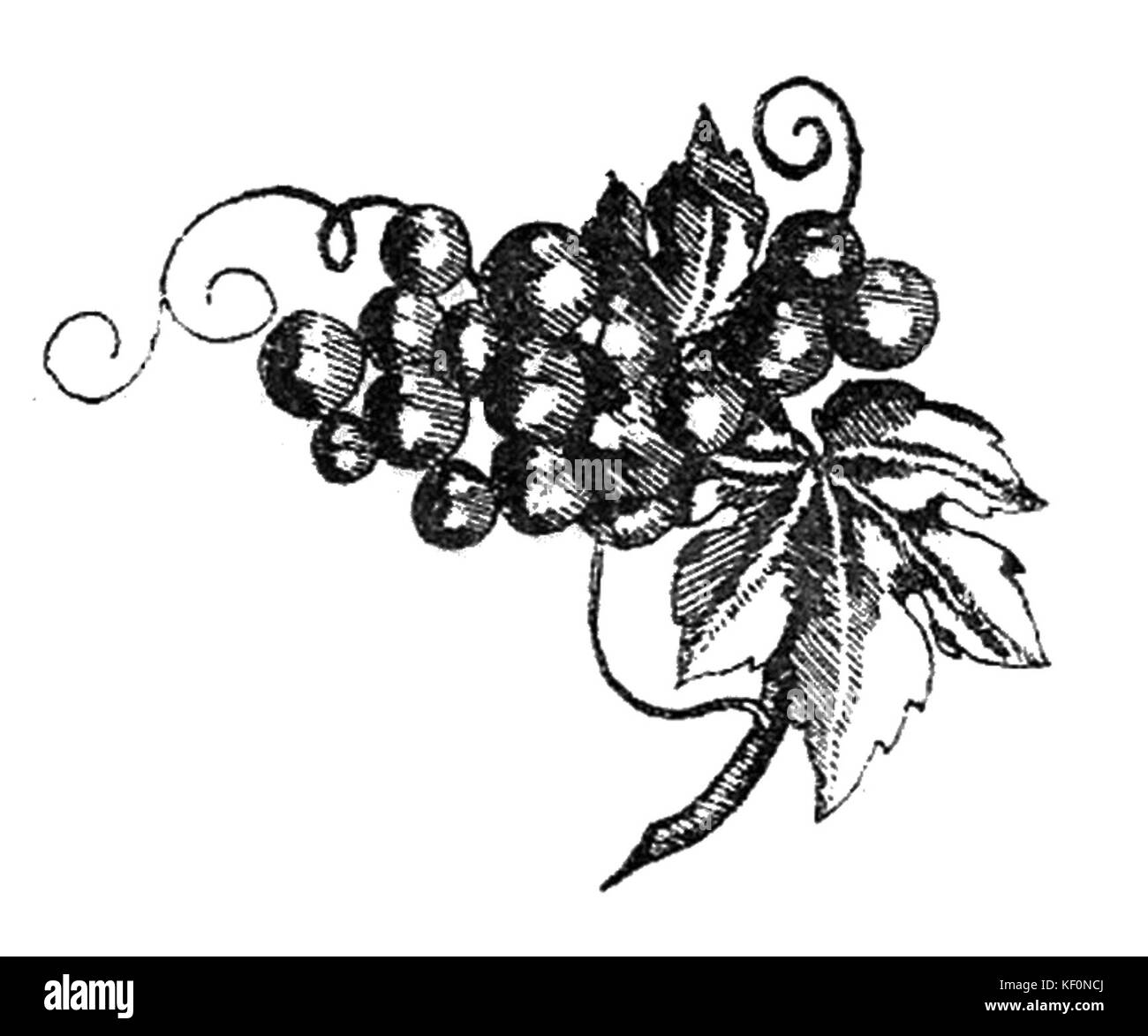 L'image représente différents types de conserves de fruits, y compris des confitures, des compotes et d'autres produits fruitiers en conserve. Ces conserves sont des formes traditionnelles de conservation des aliments, souvent observées dans les cuisines domestiques, en particulier dans les cultures d'Europe de l'est. Banque D'Images