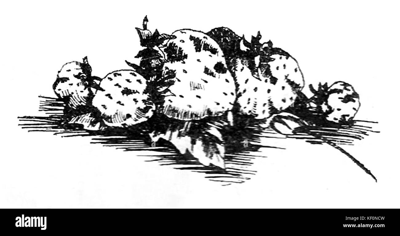 Cette page d'un livre de recettes de fruits en conserve présente diverses conserves de fruits, y compris des confitures, des compotes et d'autres produits de fruits en conserve. Il met en évidence les méthodes traditionnelles de conservation des fruits populaires dans diverses traditions culinaires. Banque D'Images