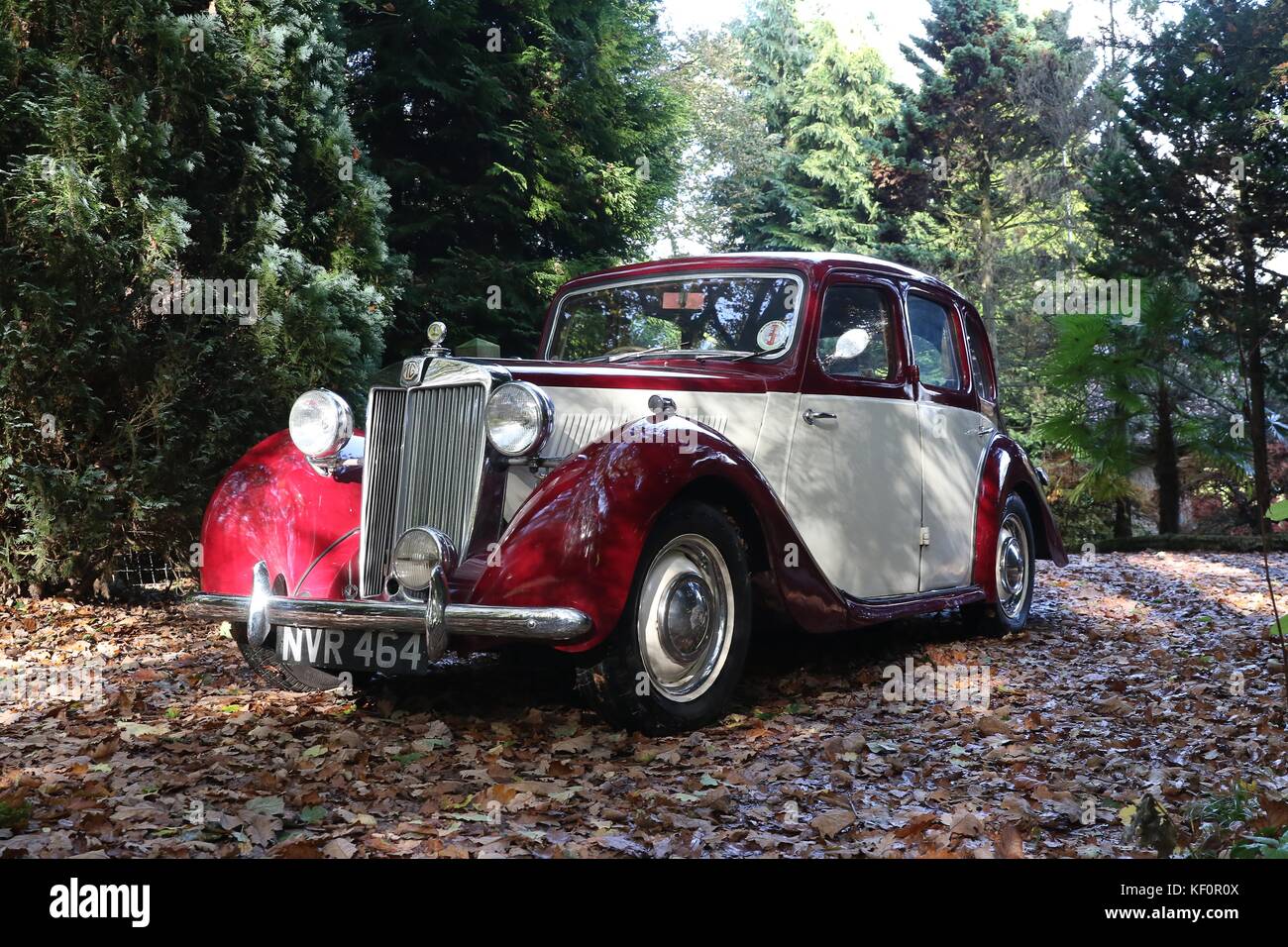 1953 MG YB 1,25 Moteur XPAG Photo par Antony Thompson Banque D'Images