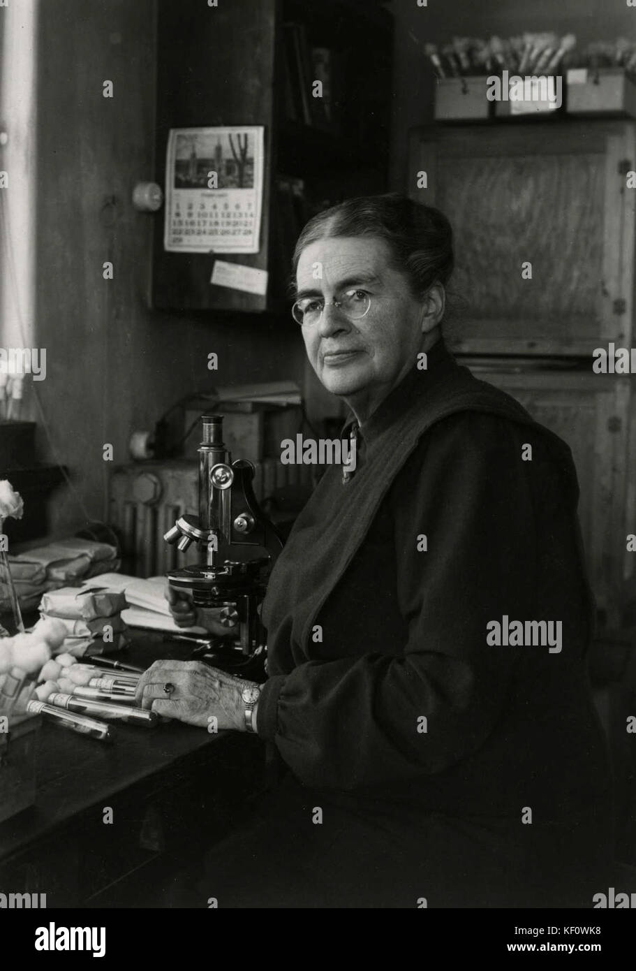Johanna Westerdijk était une phytopathologiste néerlandaise qui a apporté des contributions significatives dans le domaine de la mycologie. Elle est connue pour ses travaux pionniers sur les maladies fongiques affectant les plantes et ses études sur la relation entre les champignons et la santé des plantes. Westerdijk a été la première femme à occuper un poste de professeur dans une université néerlandaise et a joué un rôle crucial dans l'avancement de la pathologie végétale aux pays-Bas. Banque D'Images