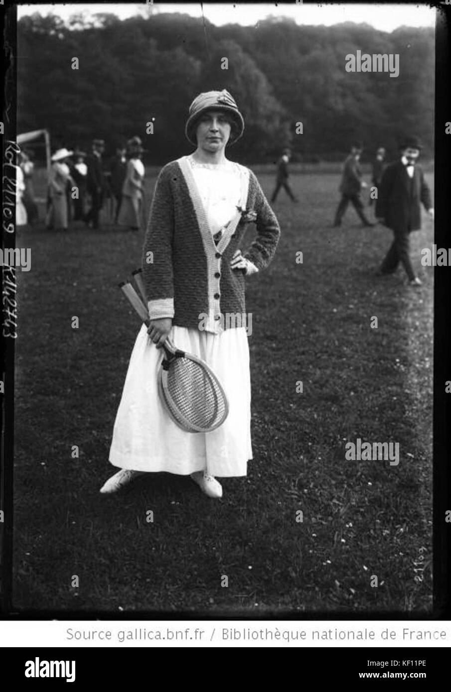 Marguerite broquedis Banque D'Images