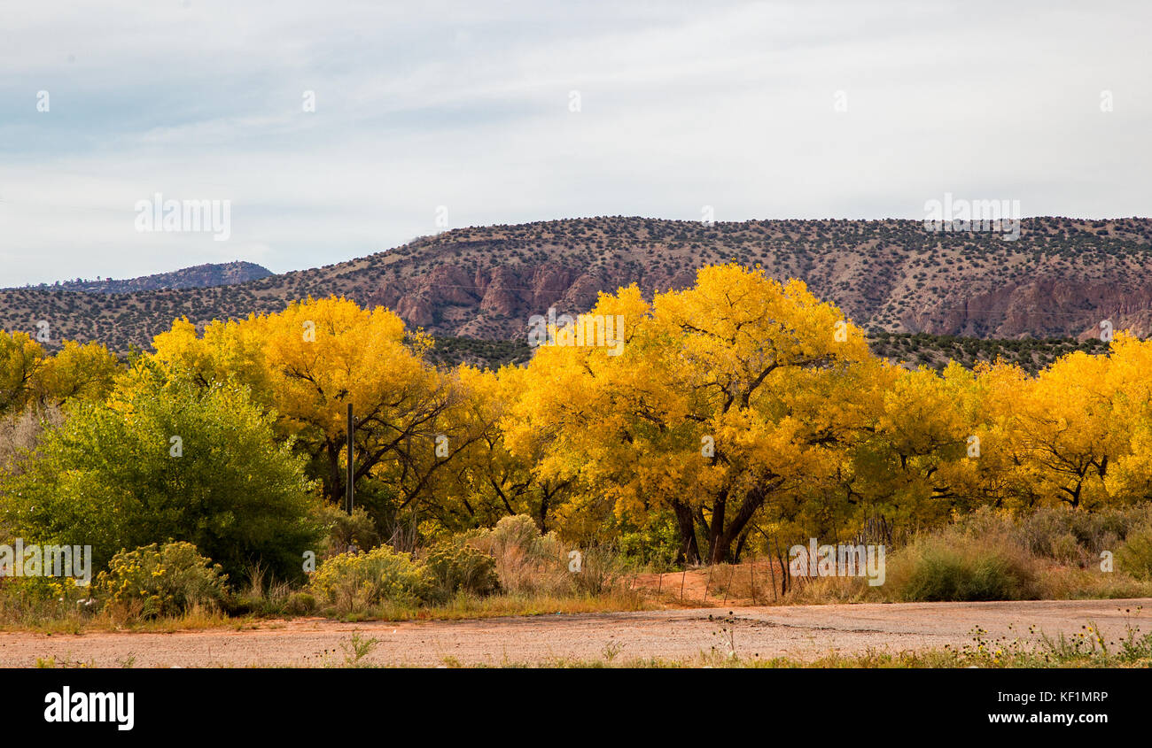 Jemez Mountain Trail National Scenic Byway au Nouveau Mexique Banque D'Images