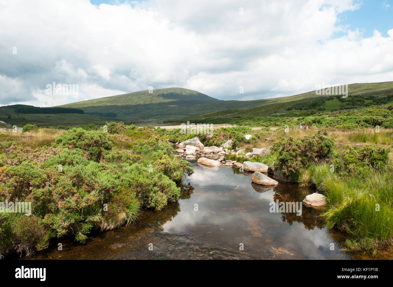 Rivière en montagnes de Wicklow, Irlande Banque D'Images