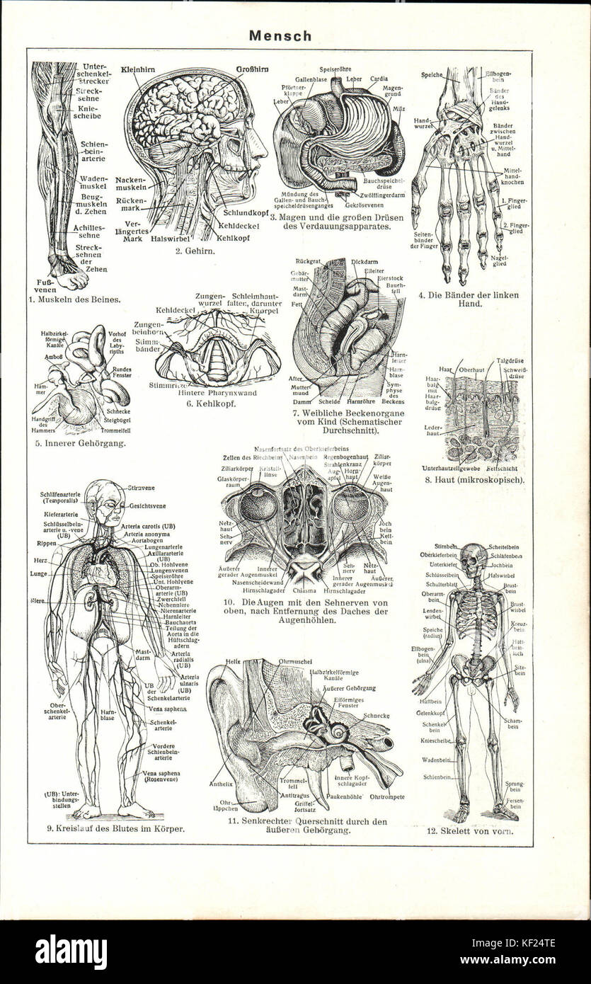 LA2 Blitz 0237 Banque D'Images