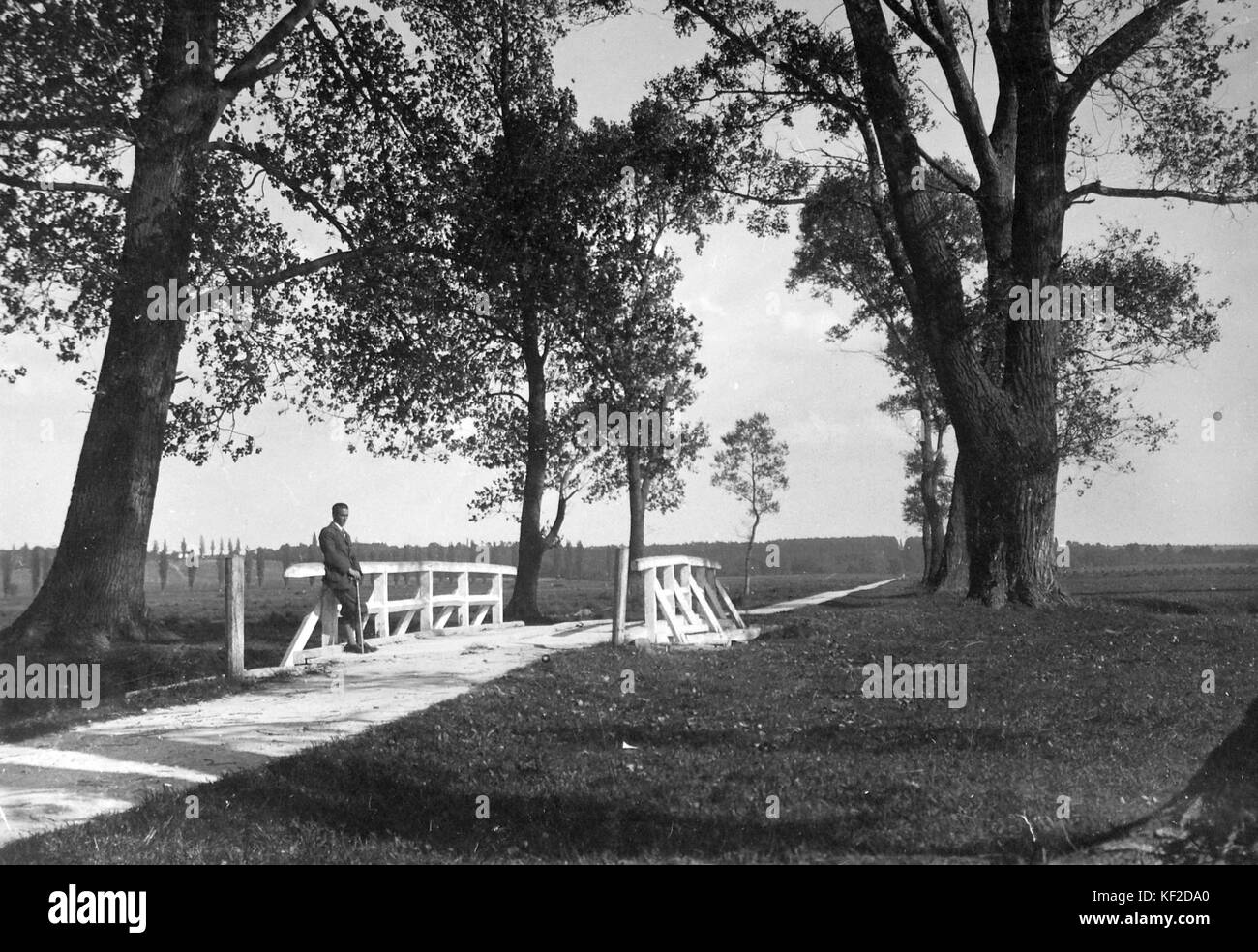 Route, un pont, l'homme, excursion, temps libre, paysage, culasses 14376 Banque D'Images