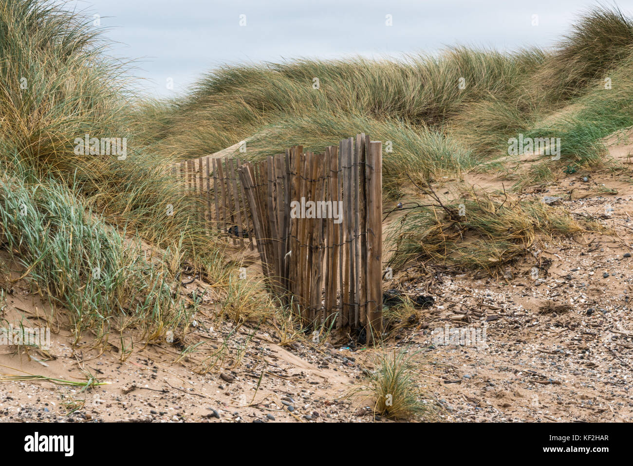 L'escrime à lattes sur les dunes de sable sur la côte anglaise à proximité de la station balnéaire de lancashire blackpool et st annes avec de l'herbe, sable et pas de personnes Banque D'Images